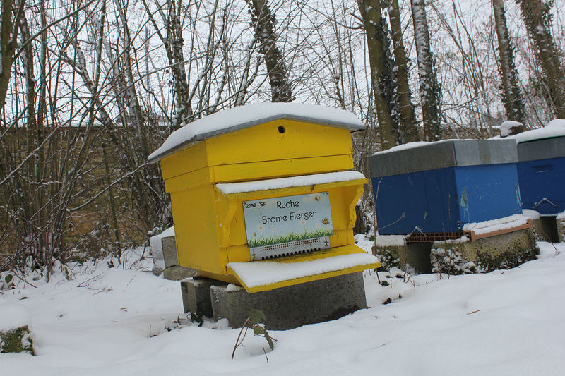 La ruche Brome Fierger